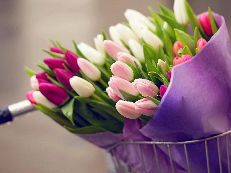 Особый подход: какие выбрать цветы на 8 марта
