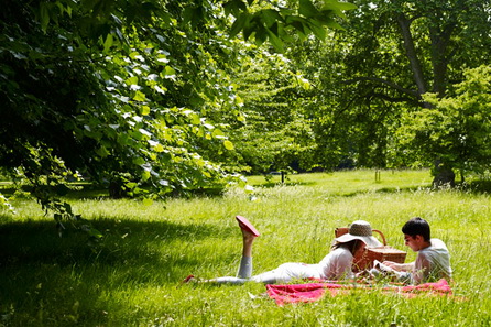 Индикаторы весны: отдых в парке