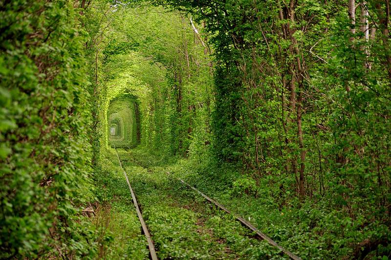 «Тоннель любви» и находится оно невдалеке от поселка Клевань Ровенской области, Украина