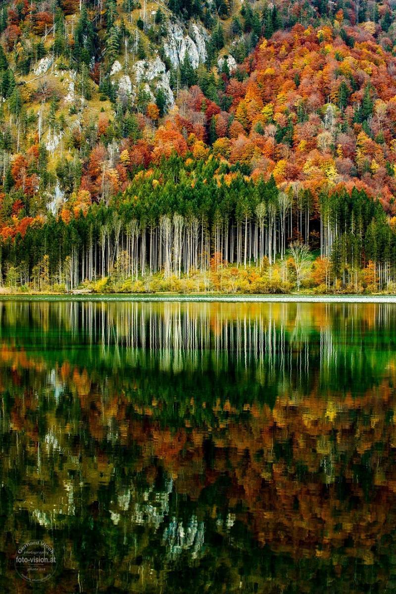 Осенний лес в Альпах