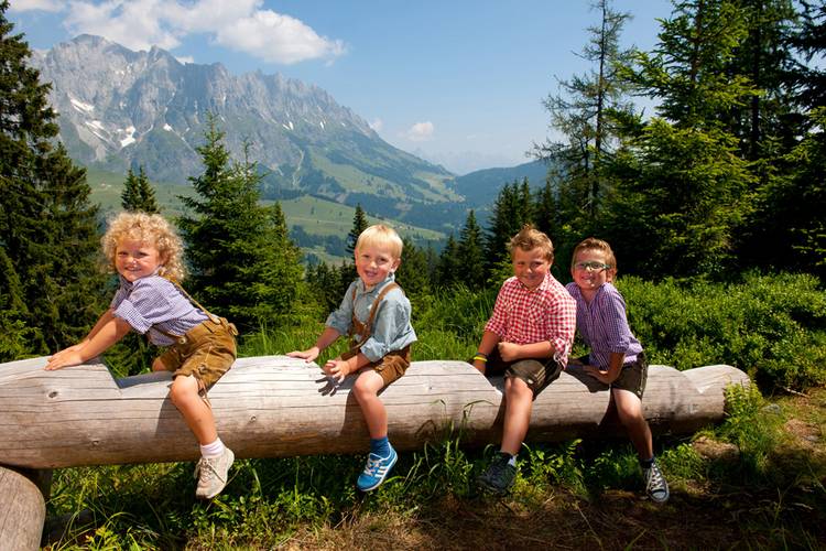 Где ребенку лучше провести летние каникулы за рубежом: Австрия или Германия?