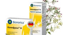 Канефрон® Н при захворюваннях сечовидільної системи