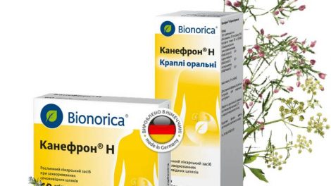 Канефрон® Н при захворюваннях сечовидільної системи