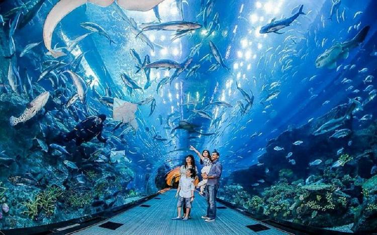 Аквариум Hurghada Grand Aquarium