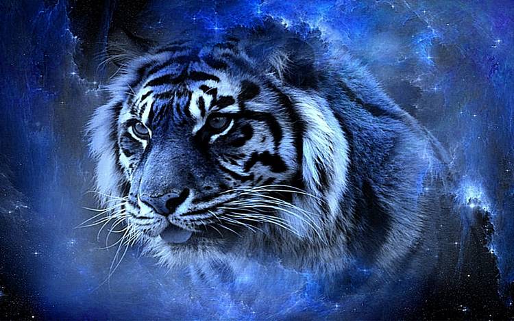 Как встречать Новый год 2022: Голубой Водяной Тигр 
