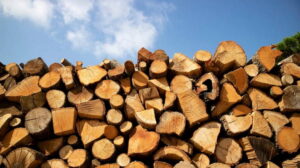 Колотые дрова – выгоднее купить в кубометрах или складометрах?
