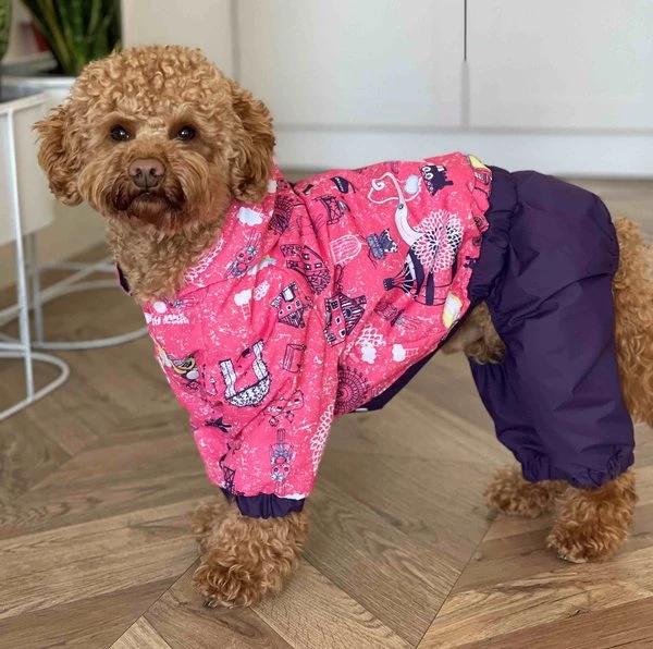 Маленькая собака в легком дождевике Dogs Bomba M-91 «Париж» из плащевки без утеплителя